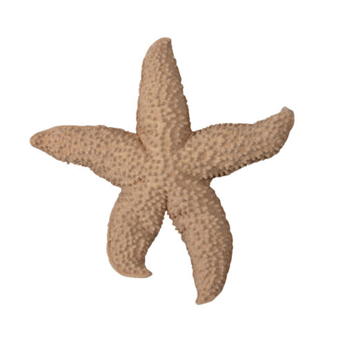 Byon Väggdekoration Sjöstjärna - Beige