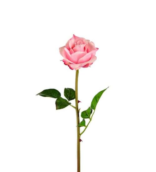 Ros 65 cm rosa