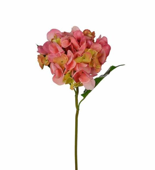 Hortensia 55 cm rosa