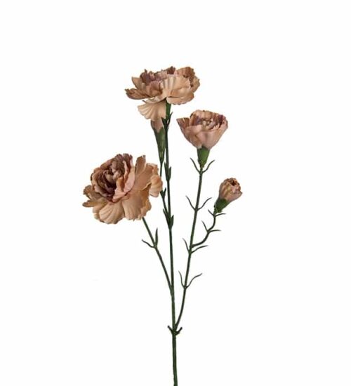 Elegance Nejlika 65 cm Beige