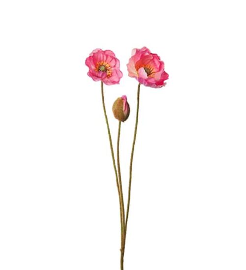 Vallmo Rosa 75cm