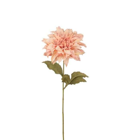 Dahlia rosa 60cm