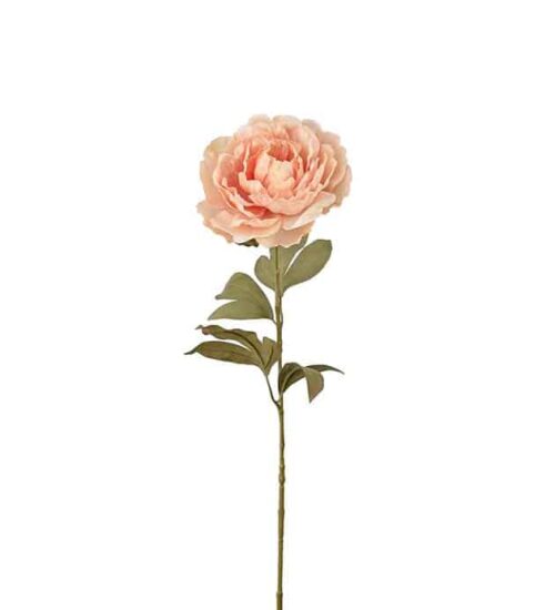 Pion rosa 65cm