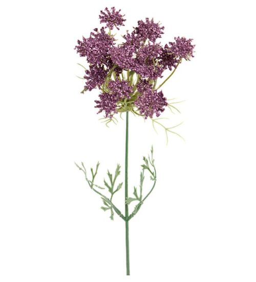 Trachelium 45 cm lila
