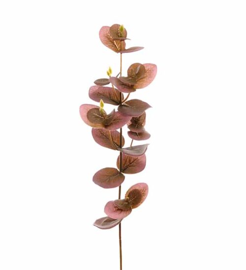 Eucalyptus 40 cm lila