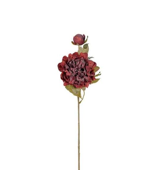 Pion 45cm Burgundy