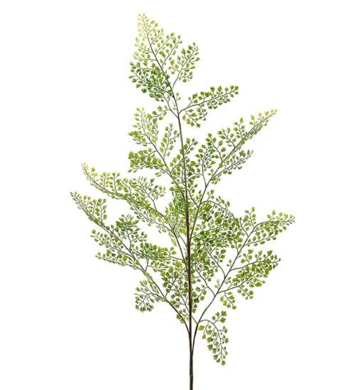 Mr Plant Adiantum blad 140 cm grön