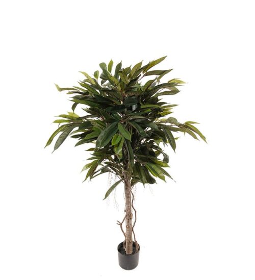 Longifolia 150cm grön