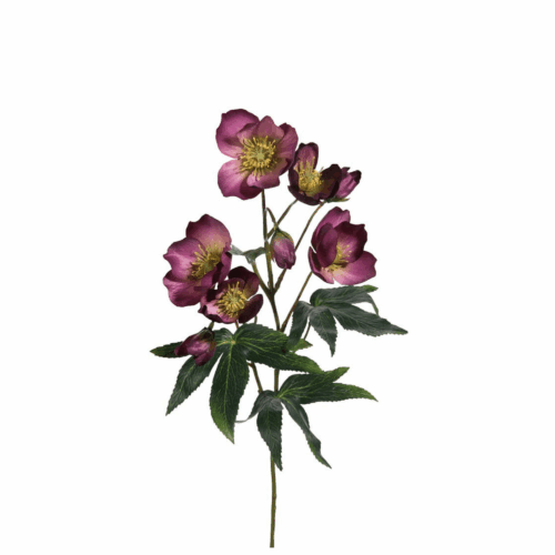 Julros Lila 57 cm