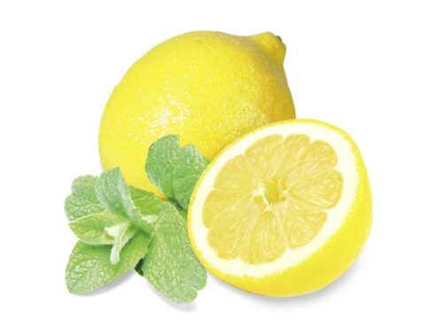 Essens Mynta/Citron 100ml till bastu