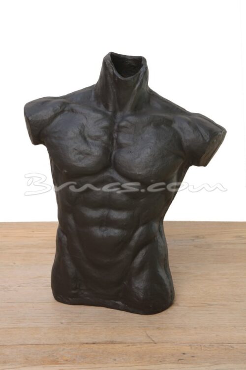 Brucs Torso