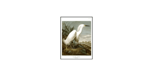 THE DYBDAHL CO Tavla Snowy Heron 30x40cm Svart ram