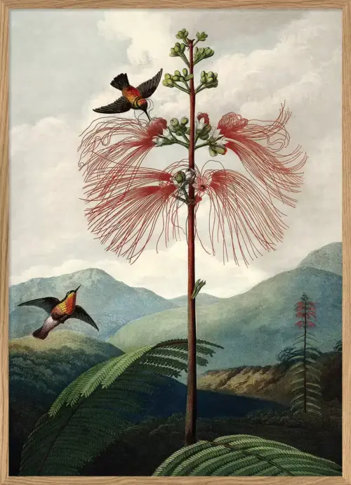 THE DYBDAHL COMPANY The Tree Of Flowers 30x40 Ek Ram