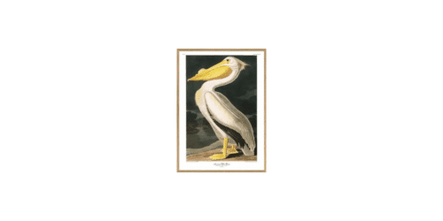 THE DYBDAHL CO Tavla Snowy Heron 30x40cm Ek ram
