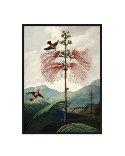 THE DYBDAHL COMPANY The Tree Of Flowers 30x40 Svart Ram