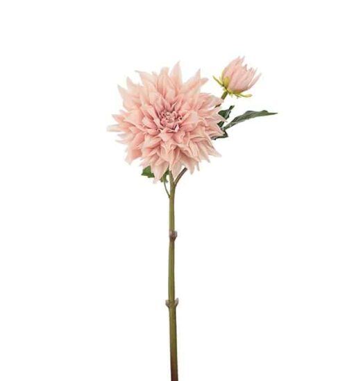 Dahlia 70 cm Persika