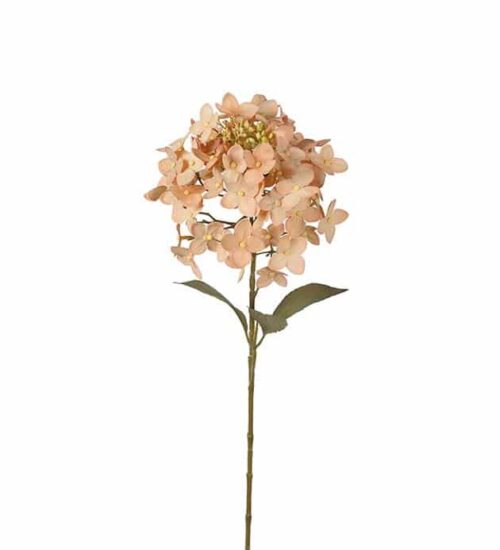 Hortensia 65cm Beige