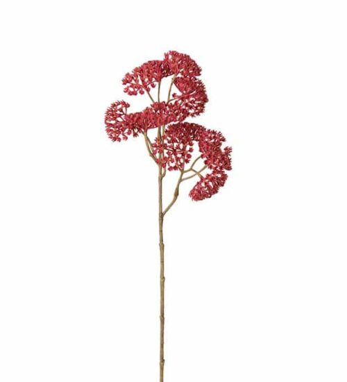 Röllika 50cm Rosa