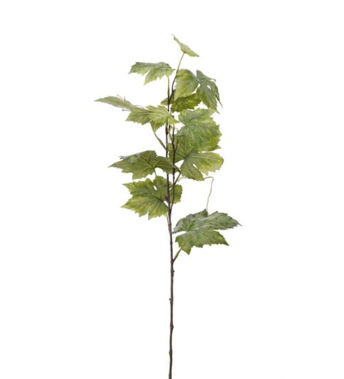Vinbärskvist Grön 75cm