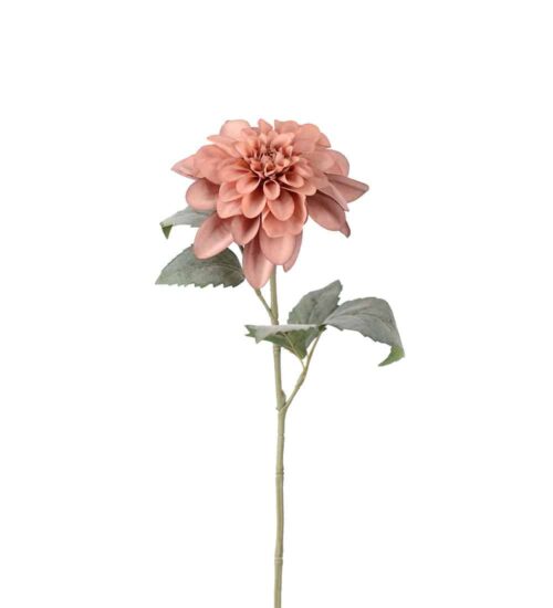 Dahlia Brun 46cm
