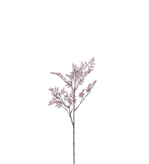 Limoniumkvist Rosa 65cm