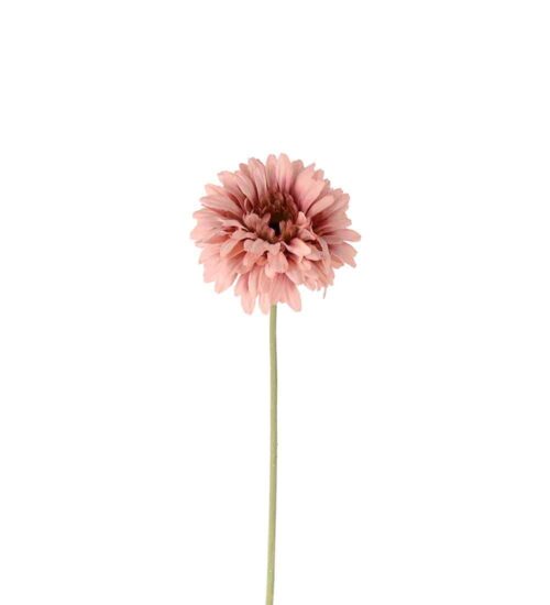 Gerbera Rosa 55cm