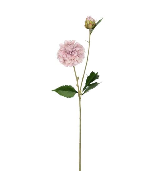 Dahlia Rosa 66cm