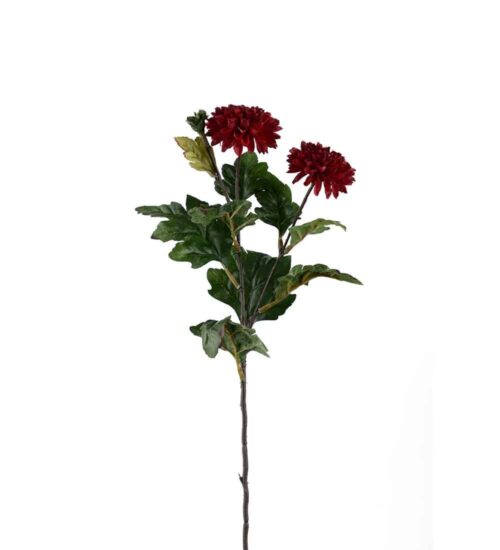 Chrysanthemum Burgundy 53cm