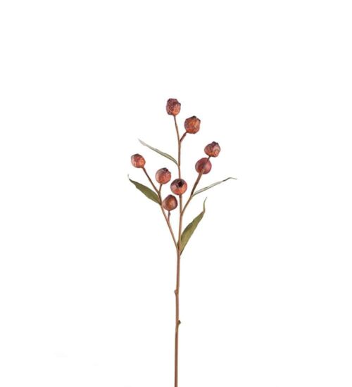 Eucalyptuskvist Med Bär Röd 65cm