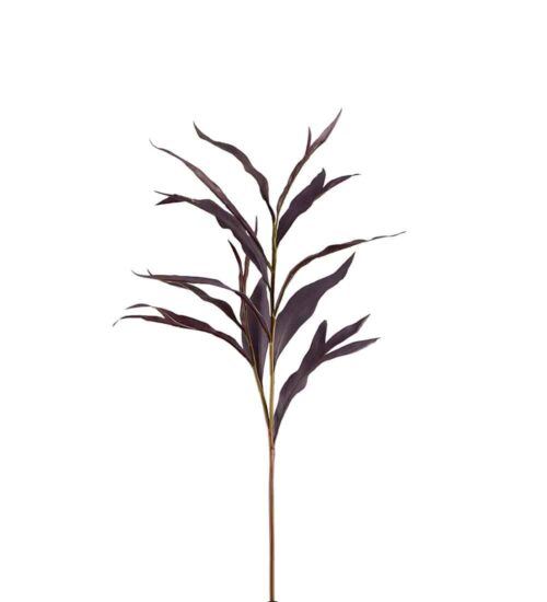 Grevilleakvist Burgundy 85cm