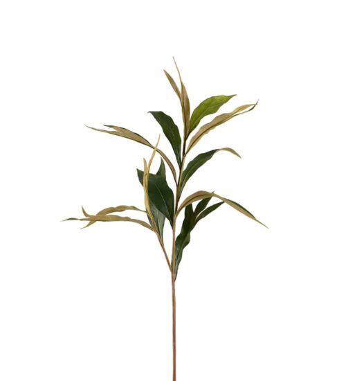 Grevilleakvist Grön 85cm