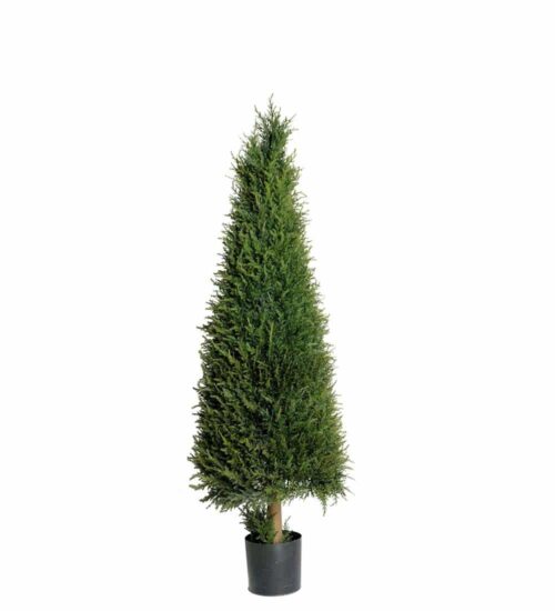 En 110cm I Kruka