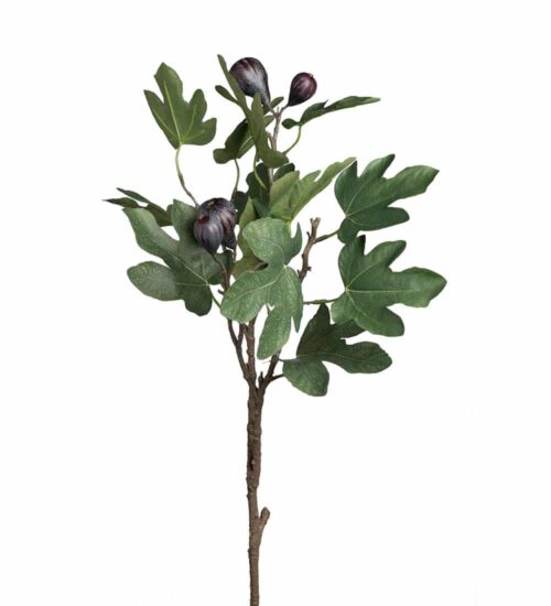 Fikonkvist Grön 90cm
