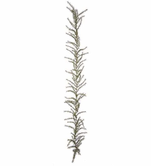 Grangirlang 200cm Grön