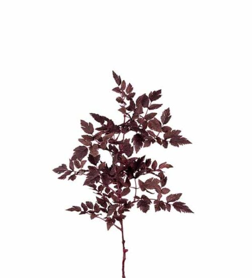 Konstgjord Burgundy Silveraxkvist 75 cm