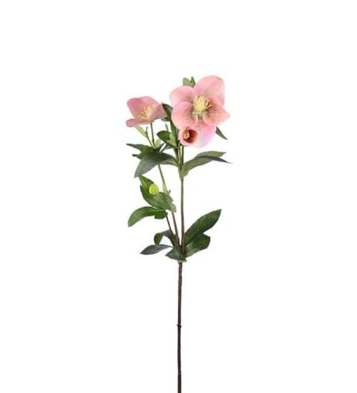 Julros Rosa 63cm