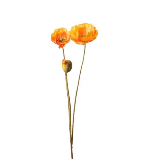 Vallmo orange 75cm