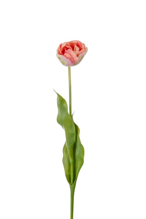 Tulpan Rosa 67cm