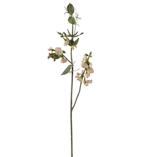 Luktärt 69 cm
