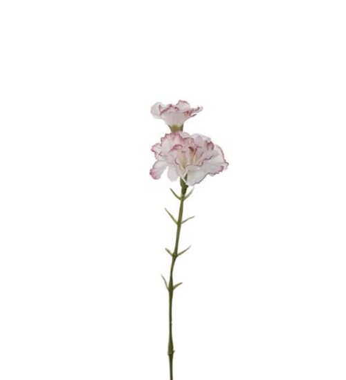 Nejlika 31 cm Rosa