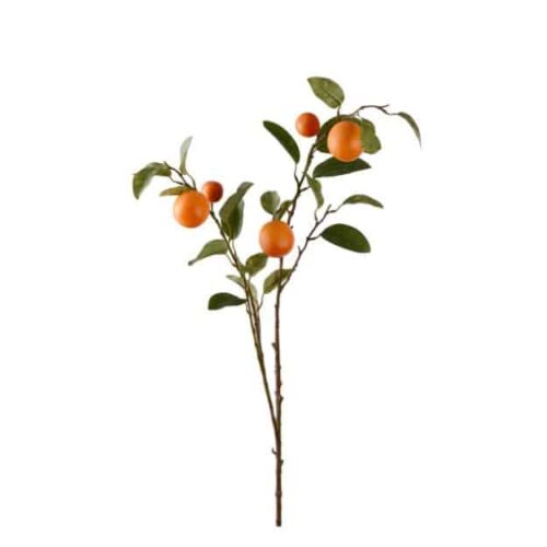 Apelsinkvist Orange 100 cm