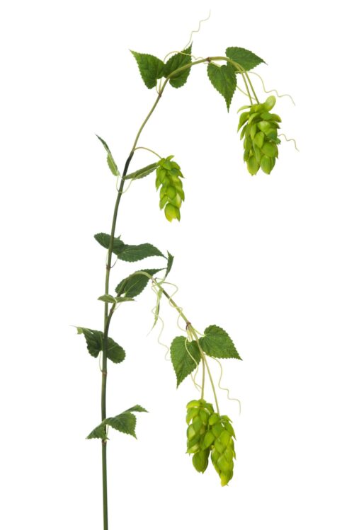 Humle 115 cm Grön – Konstväxt