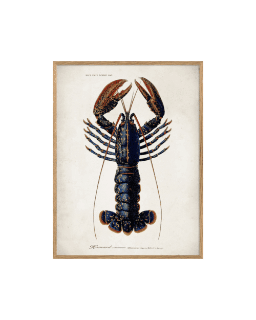 The Dybdahl Company Lobster