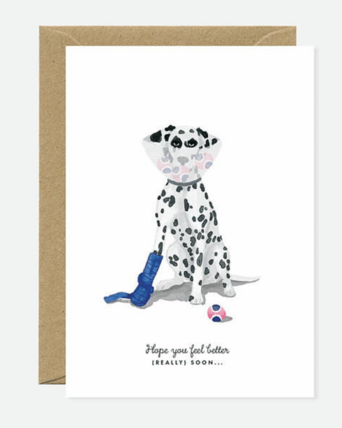 Parlebo Kort Feel Better Dog