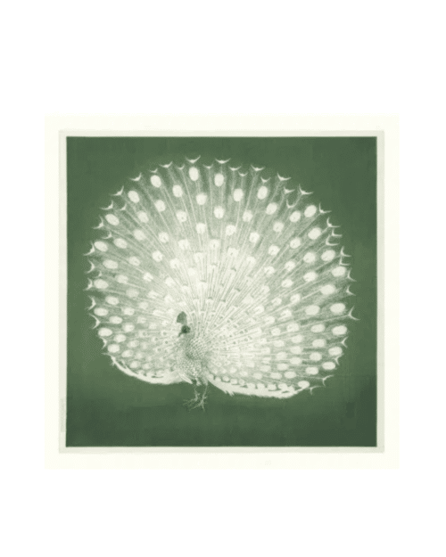 The Dybdahl Company Tavla Peacock on green