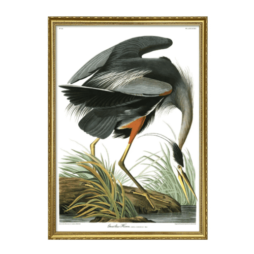 The Dybdahl Company Tavla Great Blue Heron – Design No. 6501