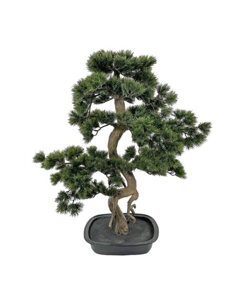 Bonsai grön i svart kruka 89 cm