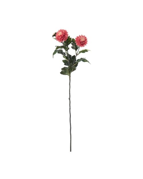 Chrysanthemum mörkrosa 55cm