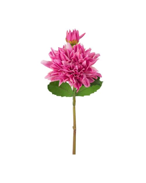Dahlia lila 70 cm
