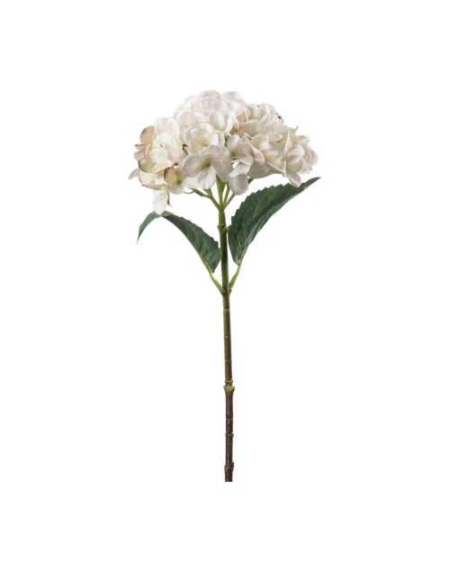 Hortensia Cream 48 cm